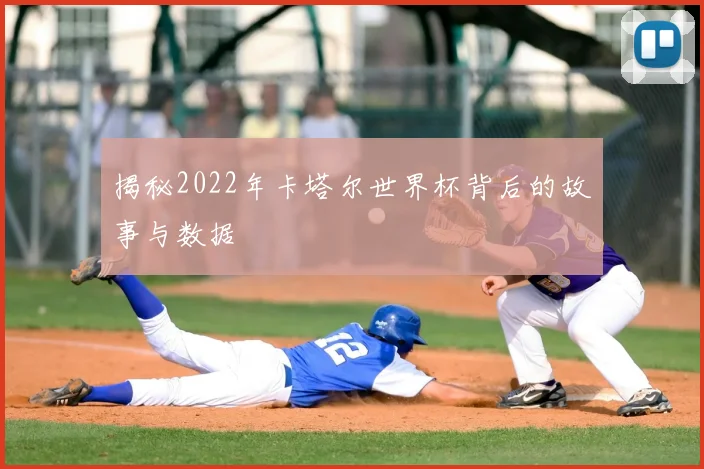 揭秘2022年卡塔尔世界杯背后的故事与数据