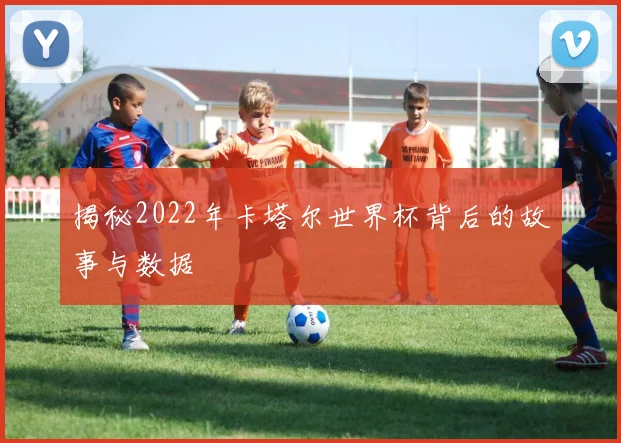 揭秘2022年卡塔尔世界杯背后的故事与数据